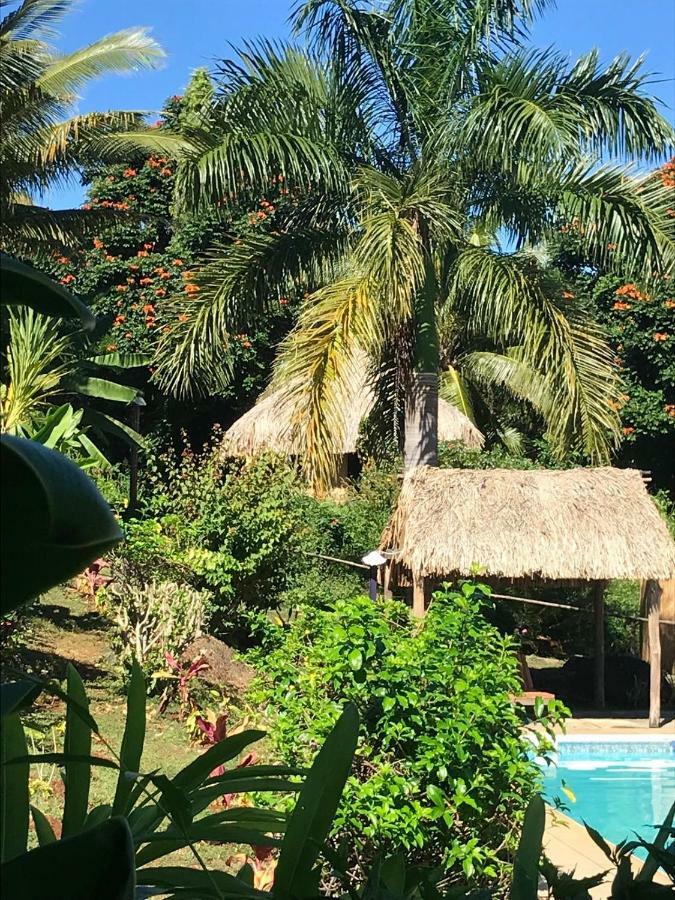 Palmlea Farms Lodge & Bures - Villas Labasa Exterior photo